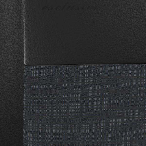 Capas de carro universais para Citroen C2 (2003-2009) - Tipo 6